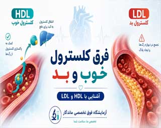 فرق کلسترول خوب و بد چیست؟ HDL و LDL را بهتر بشناسید